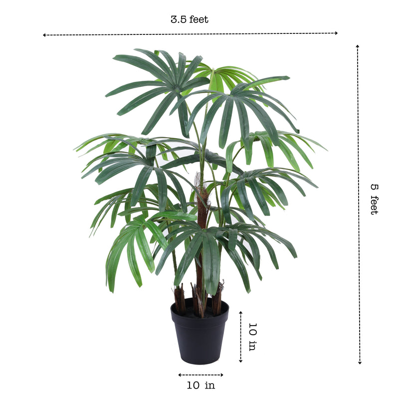 Alamkari India Fabric & Plastic Artificial Rhapis Palm Tree in Black Pot (150 cm)