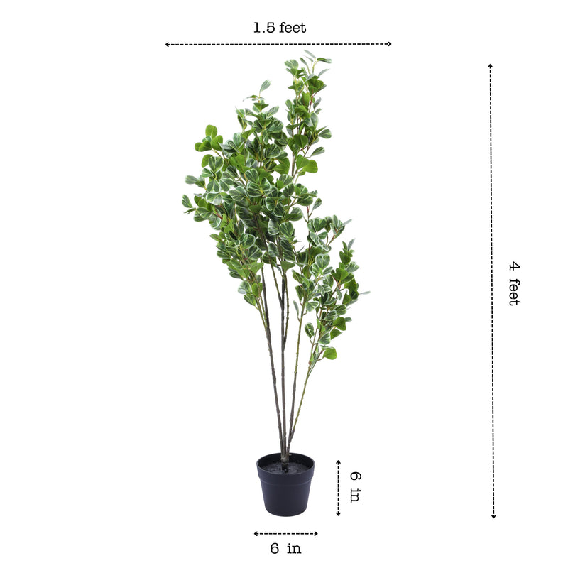 Alamkari India Fabric & Plastic Artificial Schefflara Plant in Black Pot (120 cm)