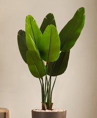 Alamkari India Fabric & Plastic Artifiical Banana Tree in Black Pot (120 cm)