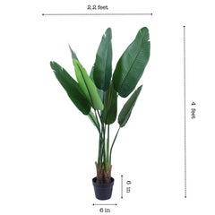 Alamkari India Fabric & Plastic Artifiical Banana Tree in Black Pot (120 cm)