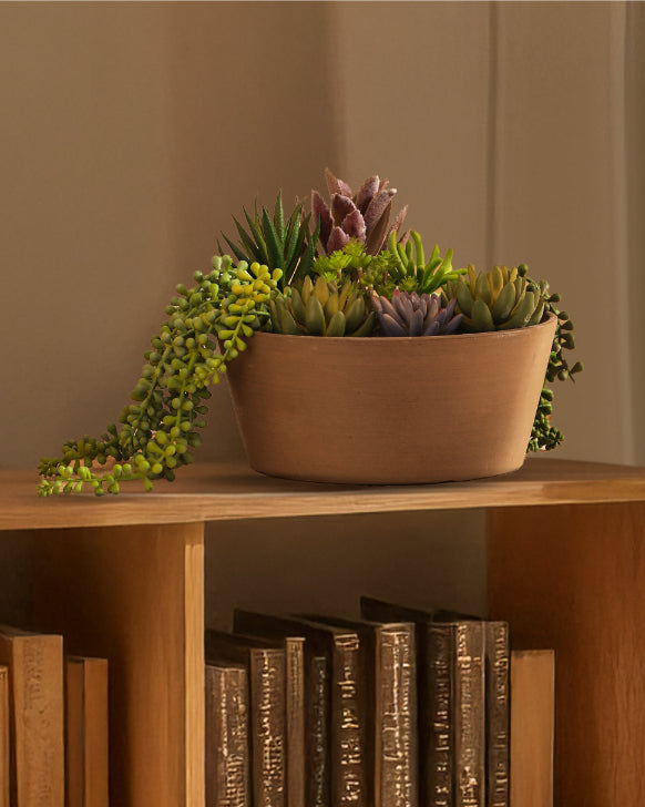 Alamkari India FRP (Fiberglass) / Brown Taupe Succulents, Plants and Bonsai Tray Planter