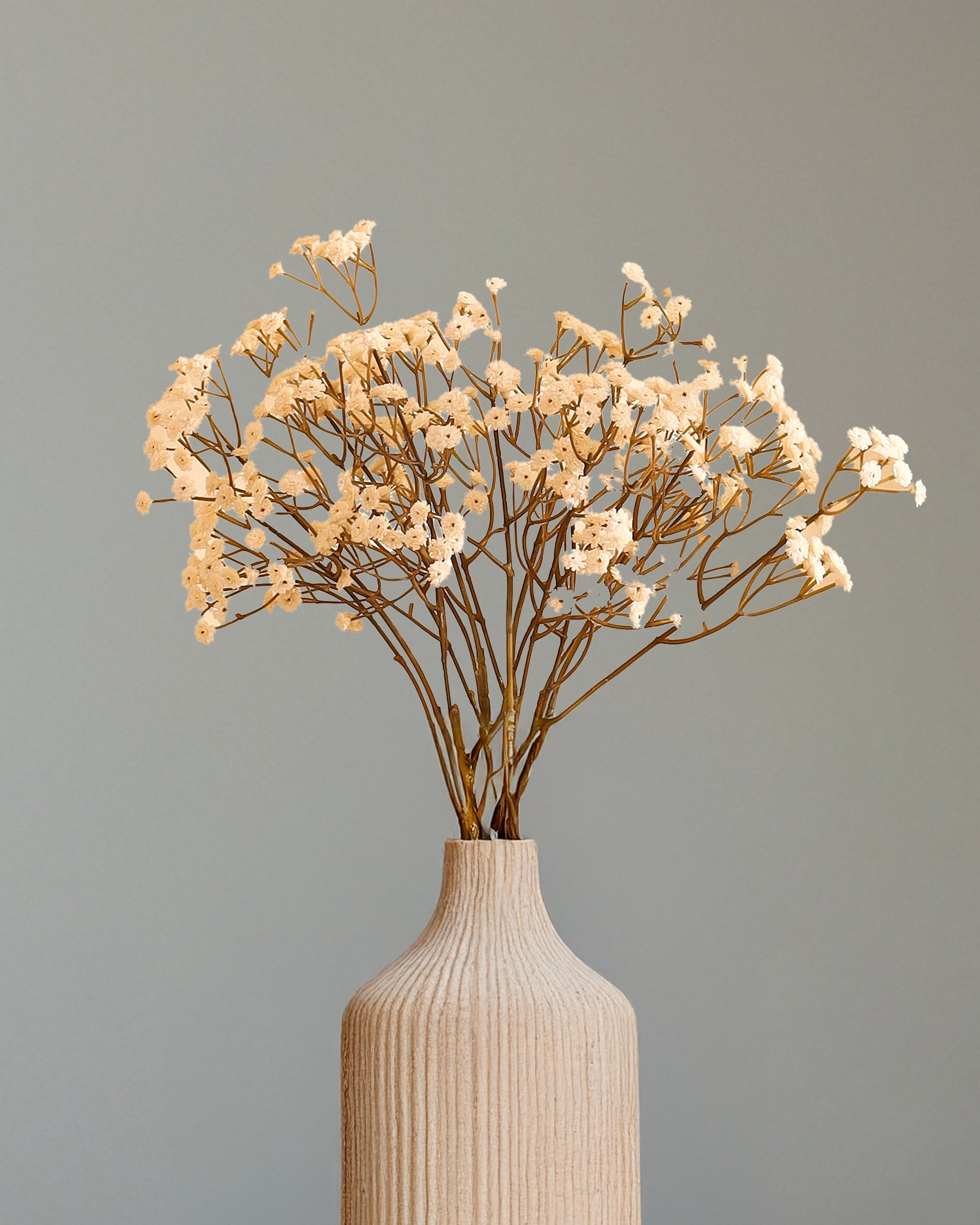 Alamkari India Polyurethane Artificial Baby's Breath Flower Sticks (5 Sticks, 60 cm, Autumn White)