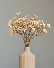 Alamkari India Polyurethane Artificial Baby's Breath Flower Sticks (5 Sticks, 60 cm, Autumn White)
