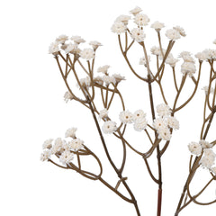 Alamkari India Polyurethane Artificial Baby's Breath Flower Sticks (5 Sticks, 60 cm, Autumn White)