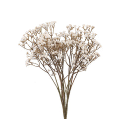 Alamkari India Polyurethane Artificial Baby's Breath Flower Sticks (5 Sticks, 60 cm, Autumn White)
