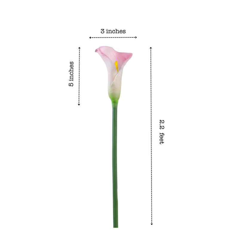 Alamkari India Polyurethane Artificial Calla Lily Flower Sticks (5 Sticks, 70 cm, Pink)
