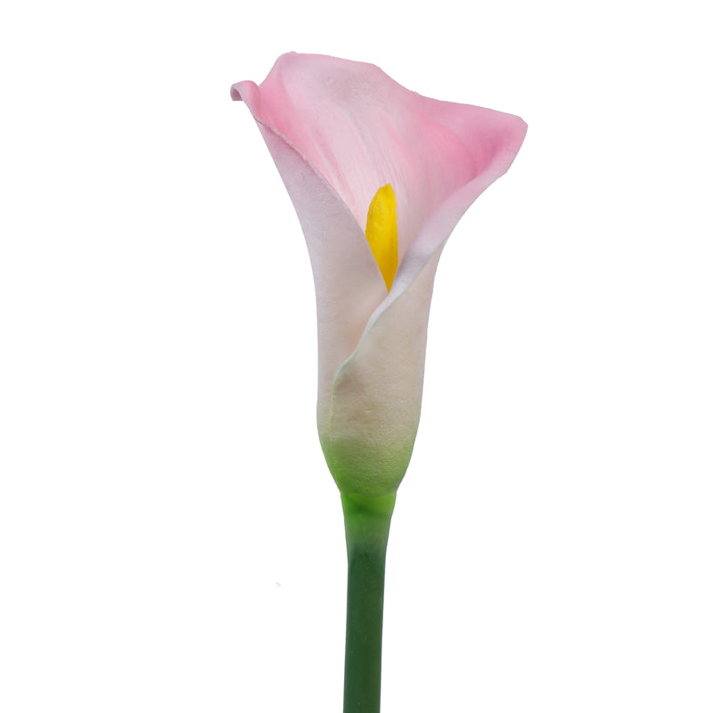 Alamkari India Polyurethane Artificial Calla Lily Flower Sticks (5 Sticks, 70 cm, Pink)