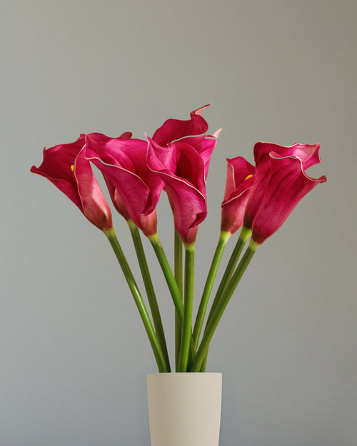 Alamkari India Polyurethane Artificial Calla Lily Flower Sticks (5 Sticks, 70 cm, Purple)