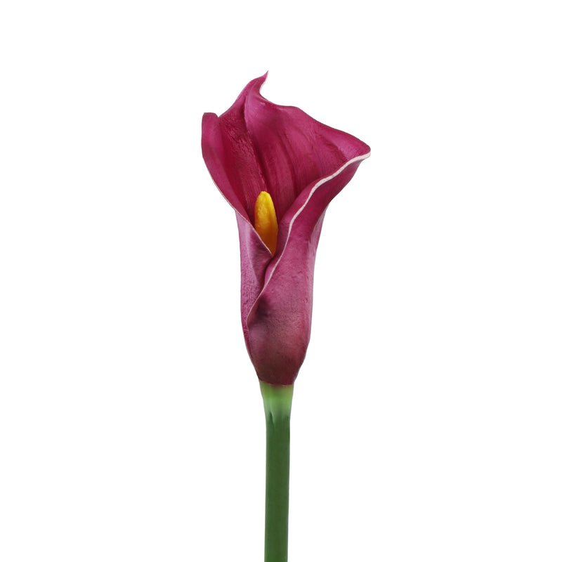 Alamkari India Polyurethane Artificial Calla Lily Flower Sticks (5 Sticks, 70 cm, Purple)