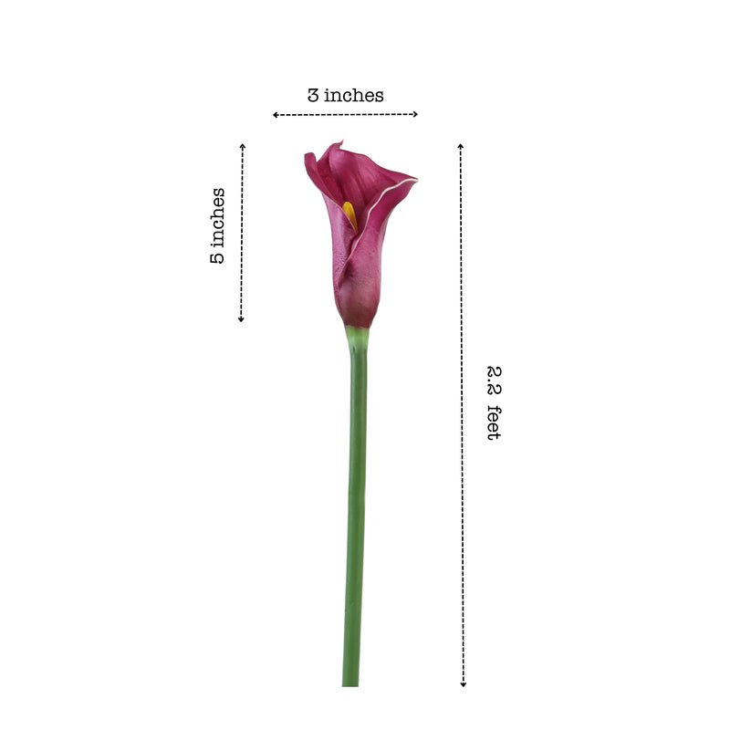 Alamkari India Polyurethane Artificial Calla Lily Flower Sticks (5 Sticks, 70 cm, Purple)