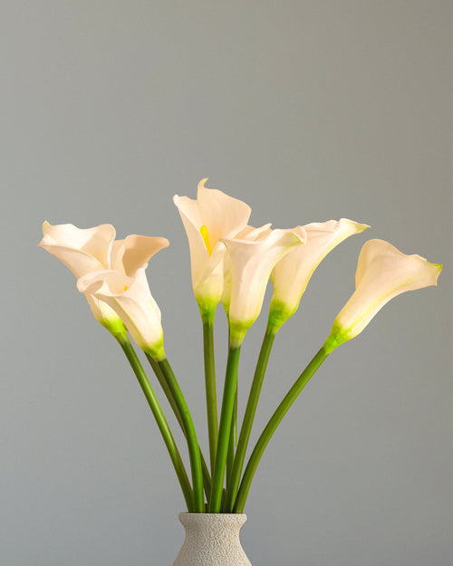 Alamkari India Polyurethane Artificial Calla Lily Flower Sticks (5 Sticks, 70 cm, White)
