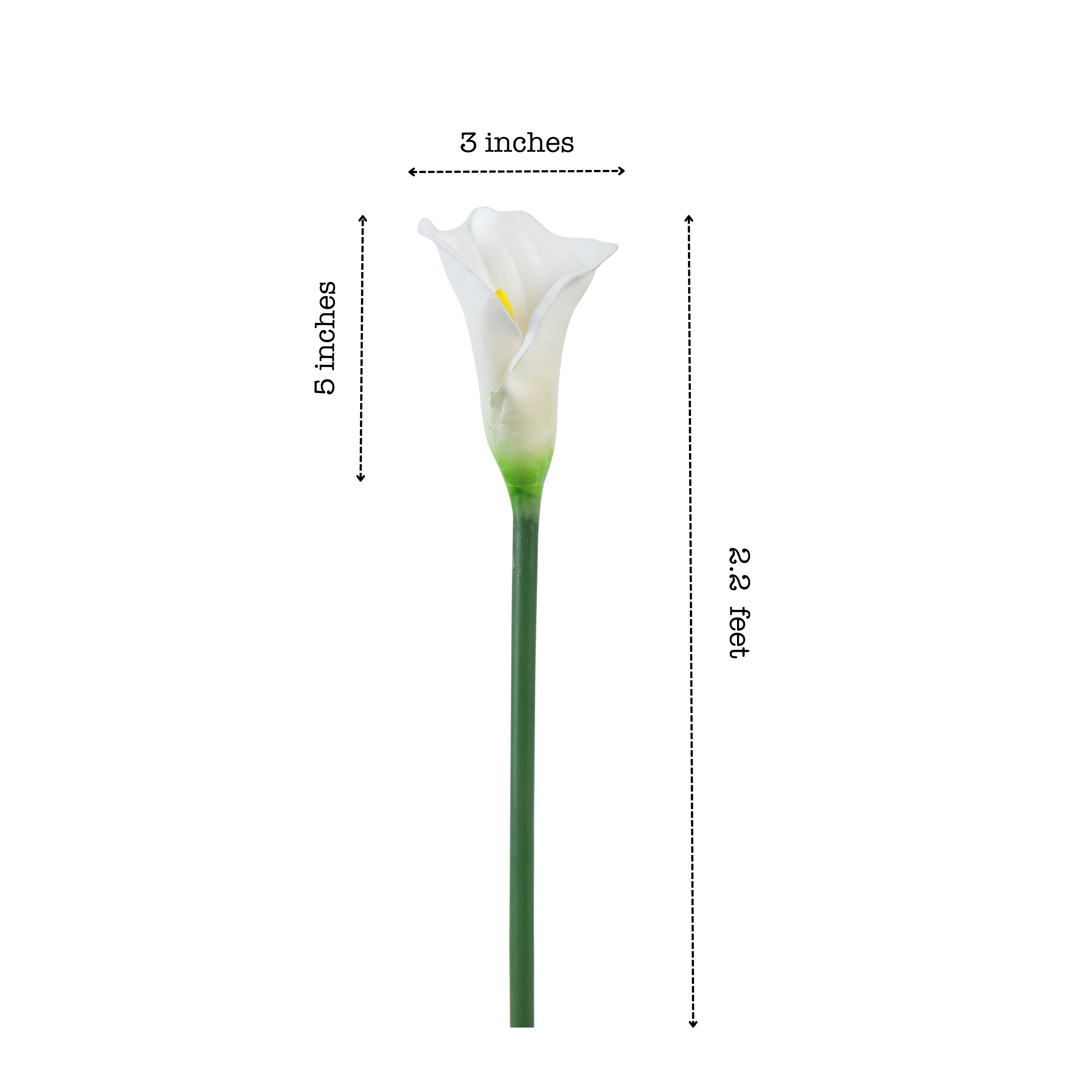 Alamkari India Polyurethane Artificial Calla Lily Flower Sticks (5 Sticks, 70 cm, White)