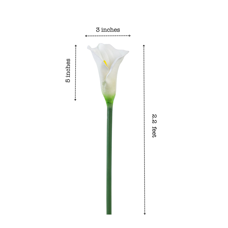 Alamkari India Polyurethane Artificial Calla Lily Flower Sticks (5 Sticks, 70 cm, White)