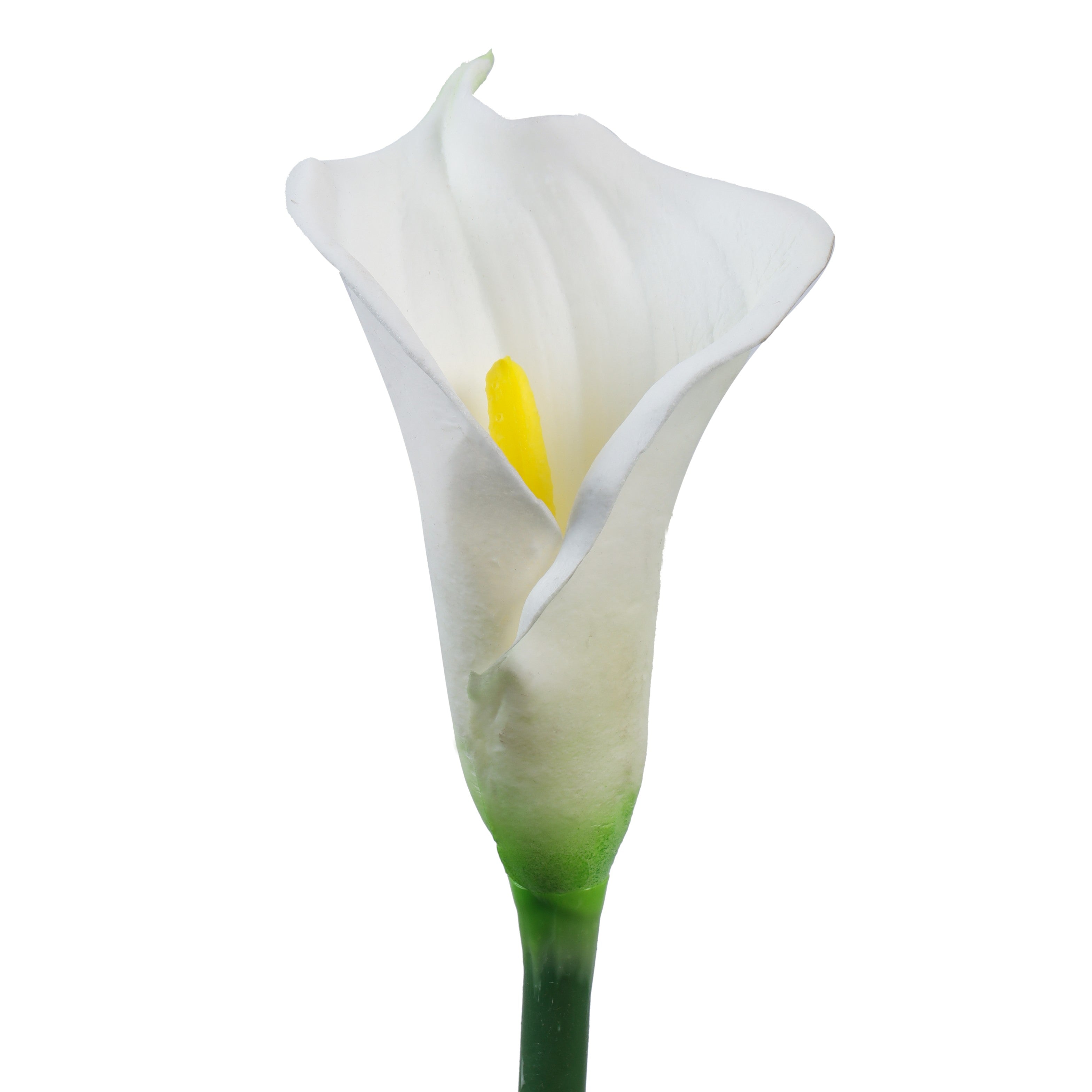 Alamkari India Polyurethane Artificial Calla Lily Flower Sticks (5 Sticks, 70 cm, White)