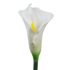 Alamkari India Polyurethane Artificial Calla Lily Flower Sticks (5 Sticks, 70 cm, White)