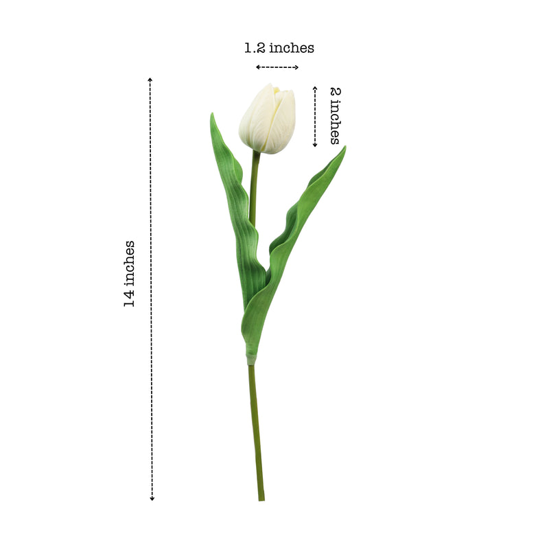 Alamkari India Polyurethane Artificial Tulip Flower Sticks (5 Sticks, 35 cm, White)